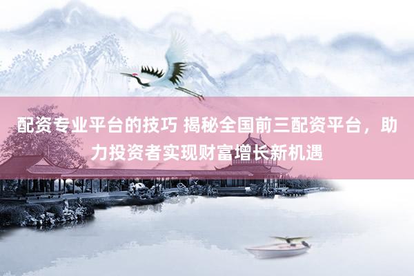 配资专业平台的技巧 揭秘全国前三配资平台，助力投资者实现财富增长新机遇