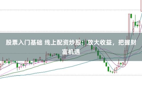 股票入门基础 线上配资炒股：放大收益，把握财富机遇