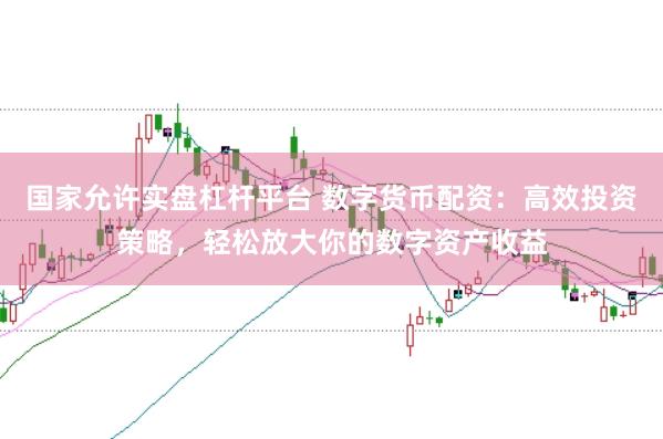 国家允许实盘杠杆平台 数字货币配资：高效投资策略，轻松放大你的数字资产收益