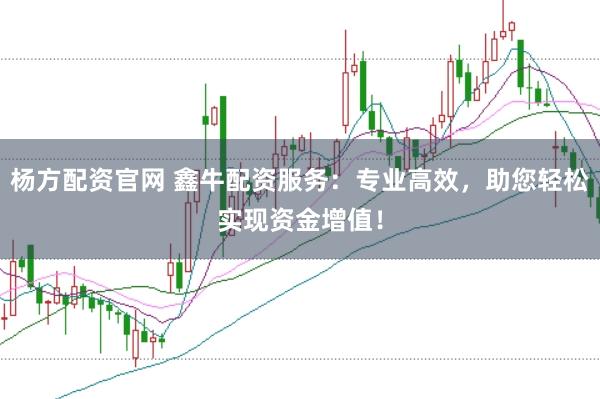 杨方配资官网 鑫牛配资服务：专业高效，助您轻松实现资金增值！