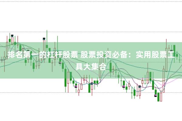 排名第一的杠杆股票 股票投资必备：实用股票工具大集合