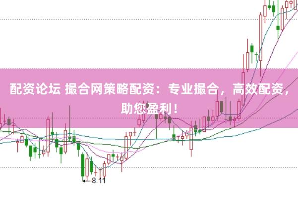 配资论坛 撮合网策略配资：专业撮合，高效配资，助您盈利！