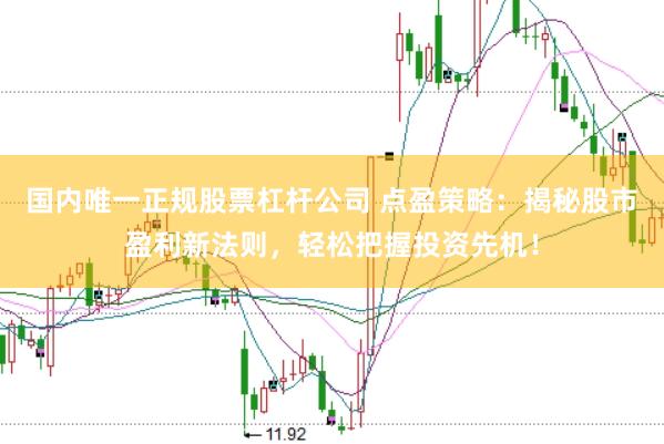 国内唯一正规股票杠杆公司 点盈策略：揭秘股市盈利新法则，轻松把握投资先机！