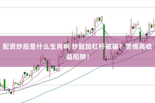 配资炒股是什么生肖啊 炒股加杠杆被骗？警惕高收益陷阱！