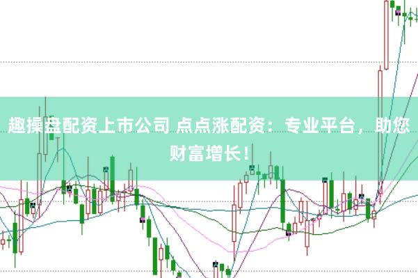 趣操盘配资上市公司 点点涨配资：专业平台，助您财富增长！