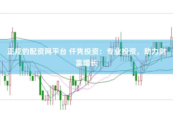 正规的配资网平台 仟隽投资：专业投资，助力财富增长