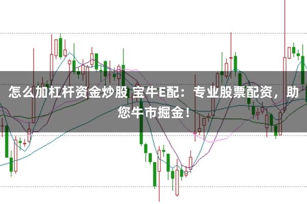 怎么加杠杆资金炒股 宝牛E配：专业股票配资，助您牛市掘金！