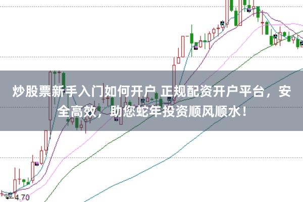 炒股票新手入门如何开户 正规配资开户平台，安全高效，助您蛇年投资顺风顺水！