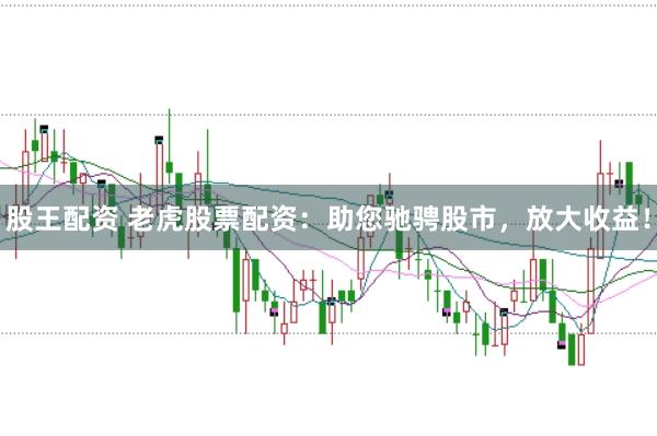 股王配资 老虎股票配资：助您驰骋股市，放大收益！