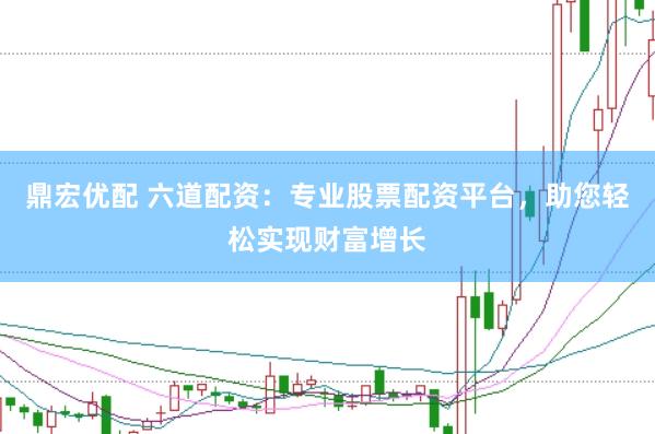 鼎宏优配 六道配资：专业股票配资平台，助您轻松实现财富增长