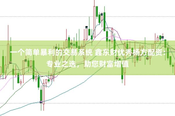 一个简单暴利的交易系统 鑫东财优秀杨方配资：专业之选，助您财富增值