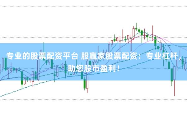 专业的股票配资平台 股赢家股票配资：专业杠杆，助您股市盈利！