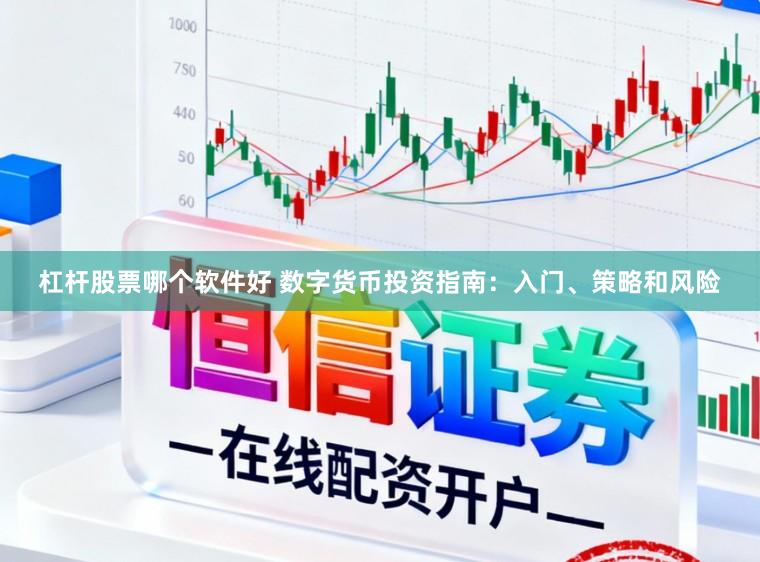 杠杆股票哪个软件好 数字货币投资指南:入门、策略和风险