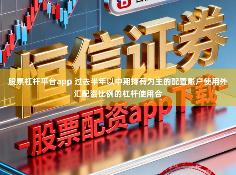 股票杠杆平台app 过去半年以中期持有为主的配置账户使用外汇配资比例的杠杆使用合