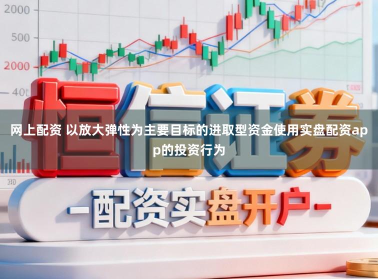 网上配资 以放大弹性为主要目标的进取型资金使用实盘配资app的投资行为