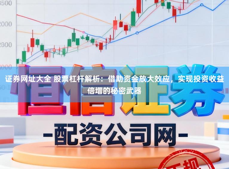证券网址大全 股票杠杆解析：借助资金放大效应，实现投资收益倍增的秘密武器